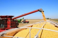 Sa sút xuất khẩu, ngành nông nghiệp lại tăng nhập khẩu