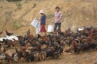 Bí quyết vươn rộng cánh tay khắp địa bàn nông thôn của Agribank