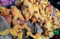 Phát hiện người chăn nuôi cho gà ăn chất tạo màu gây ung thư
