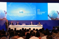 ĐHĐCĐ VIB 2016: Chi cổ tức “khủng” 25%, dự kiến lên sàn năm 2018