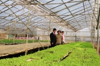 Tiếp sức cho nông nghiệp thay đổi tư duy và hành động để phát triển bền vững