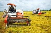 Agribank chung tay giải quyết “bài toán hóc búa” Bảo hiểm nông nghiệp 