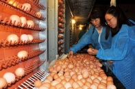 Gói  tín dụng 100.000 tỷ đồng: NHNN sẽ có hướng dẫn ngay trong tháng 4 