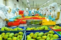 Nông nghiệp năm 2017: Thu hút hàng tỷ USD vốn đầu tư, xuất khẩu gần 36,4 tỷ USD