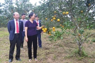 Tiếp vốn cho những mô hình tiền tỷ