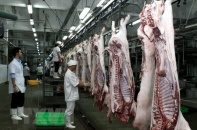 Giá thịt lợn tăng sốc, doanh nghiệp chăn nuôi lãi khủng vẫn than “không vui”