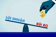 Cân nhắc lợi nhuận - rủi ro khi đầu tư P2P Lending