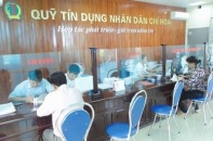  Phó Thống đốc: Chưa cho phép thành lập mới Quỹ tín dụng nhân dân khi chưa chấn chỉnh xong hệ thống