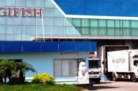 Agifish lại bị nhắc nhở vì chậm nộp báo cáo kiểm toán