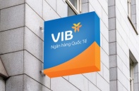 VIB: Niêm yết trên HoSE, dự kiến tín dụng tăng 24%, lợi nhuận 4.500 tỷ đồng năm 2020