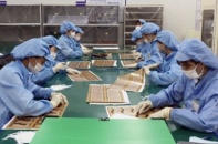 Doanh nghiệp khó khăn do Covid 19 được tiếp tục tạm dừng đóng quỹ hưu trí, tử tuất