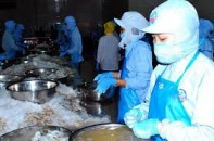 Cài đặt VssID, 20 công nhân phát hiện bị doanh nghiệp “ngâm” tiền đóng BHXH  