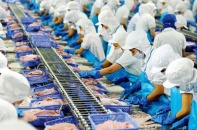 Thủy sản Vĩnh Hoàn góp vốn với Feed One xây dựng nhà máy thức ăn thủy sản
