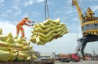 Hậu đổi chủ, “vua gạo” một thời Angimex lấy lại đà tăng trưởng