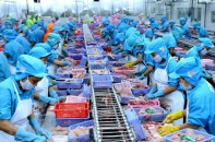 Doanh nghiệp phá sản nợ BHXH, người lao động vẫn được hưởng chế độ thai sản, hưu trí