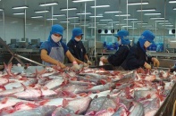 Thủy sản Vĩnh Hoàn: Doanh thu quý III/2021 tăng 17% nhờ thị trường Mỹ  