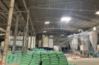  Rầm rộ thoái vốn, lãnh đạo Louis Holdings nói gì?