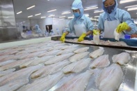Thủy sản Cần Thơ: Lỗ nặng quý III/2021 vì cước tàu biển, nợ khó đòi tăng gấp đôi