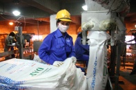 Phân bón tăng giá kỷ lục, cổ phiếu đón sóng tăng giá mới