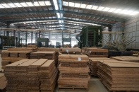 Cổ phiếu trần - sàn chóng mặt, lãnh đạo Sao Thái Dương trần tình