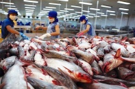 Xuất khẩu của Vĩnh Hoàn tăng mạnh, giá cá tra dự báo tiếp tục tăng năm 2022