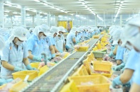 Nam Việt: Lãi quý I/2022 tăng gấp 3 lần, lấn sân sang bất động sản