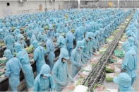  Công ty I.D.I: Lãi ròng quý I/2022 tăng gần chục lần nhờ lợi thế kho dự trữ