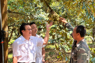Bí kíp giúp Agribank không có đối thủ tại “trận địa” tín dụng tam nông