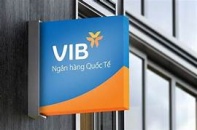 VIB: Lợi nhuận 2024 hơn 9.000 tỷ đồng, tăng trưởng tín dụng 22%, dẫn đầu ngành