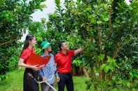 Agribank tích cực hỗ trợ hộ kinh doanh chuyển đổi thành doanh nghiệp