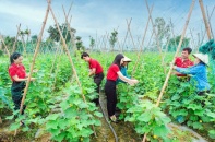 Doanh nghiệp, cá nhân được hỗ trợ lãi suất khi thực hiện dự án xanh, tuần hoàn