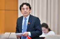 Chính sách thu hút đầu tư cần tránh biến Việt Nam thành “vùng trũng”   