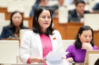 Khó sử dụng tài sản trí tuệ để thế chấp cho vay 