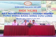 Kết nối ngân hàng - doanh nghiệp vùng Đồng bằng sông Cửu Long 
