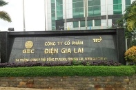 Điện Gia Lai: Doanh thu tăng nhờ hoạt động bán điện, dự kiến chi trả cổ tức tỷ lệ 8%