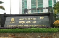 Điện Gia Lai: Tăng vốn lên 3.614 tỷ đồng, mở rộng sang điện rác, điện trấu, điện sinh khối