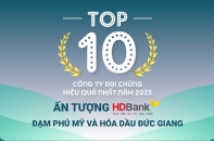 TOP 10 công ty đại chúng hiệu quả nhất năm 2023