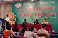 Quốc Cường Gia Lai (QCG) phát hành gần 61,9 triệu cổ phiếu để giảm nợ