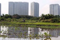 Giá đất ở trung tâm TP.HCM dự kiến như cũ, đất nông nghiệp tăng gần 78%