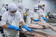 VASEP đề nghị miễn, giảm nhiều khoản doanh nghiệp phải nộp 