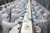 Vướng mắc 6 năm không đổi, doanh nghiệp gửi thư thỉnh cầu lên Thủ tướng