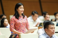 Chính sách về cổ phần hóa, thoái vốn mới liên tục, doanh nghiệp làm đi rồi làm lại, nên chậm?