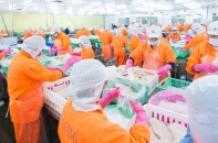 Cổ phiếu ANV bất ngờ bật trần, Chủ tịch HĐQT đăng ký bán gần hết cổ phiếu