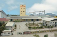 Dabaco Việt Nam: Thị giá tăng 60,6% từ đáy, con gái Chủ tịch bán ra 3 triệu cổ phiếu