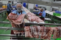 CPI 9 tháng được kiểm soát tốt nhờ lợi thế chủ động về lương thực, EVN chưa tăng giá điện