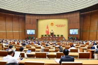 Làm rõ vốn nhà nước và doanh nghiệp nhà nước phải tuân thủ Luật Đấu thầu