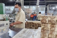 Kiến nghị không để các bộ, ngành ban hành danh mục hàng hóa phải kiểm tra chuyên ngành