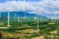 Nhân sự Habeco, Vinapharm; Thực phẩm Thủy Tạ làm con Hapro; GELEX thoái các dự án điện 