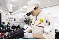 Tại sao doanh nghiệp Nhật Bản chọn mở rộng kinh doanh tại Việt Nam năm 2024