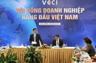 Hội đồng Doanh nghiệp hàng đầu Việt Nam trăn trở với mục tiêu tập hợp sếu đầu đàn